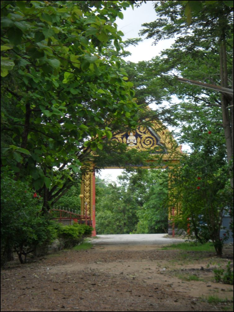 photo12 (8)